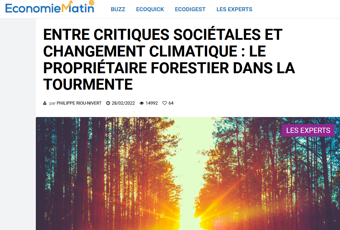 Entre critiques sociétales et changement climatique : le propriétaire forestier dans la tourmente